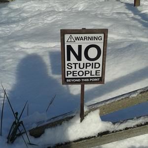 Meet your Posher, Marilyn